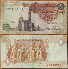 Египет 1 фунт 2008 aUNC