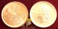 Italy 20 lire 1981 aUNC